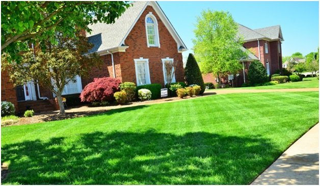 Great Tips to Take Care of your Lawn Every Season